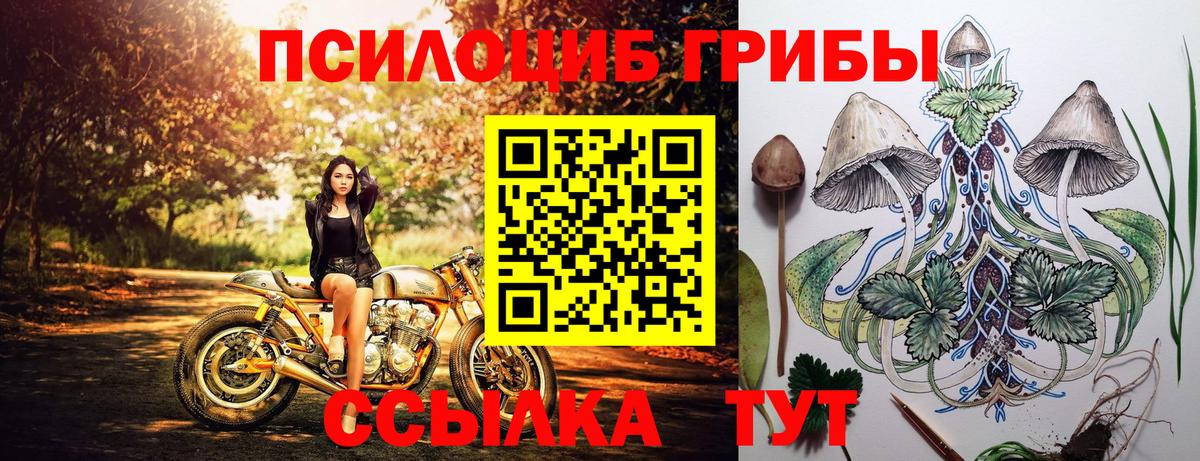 Псилоцибиновые грибы GOLDEN TEACHER Якутск