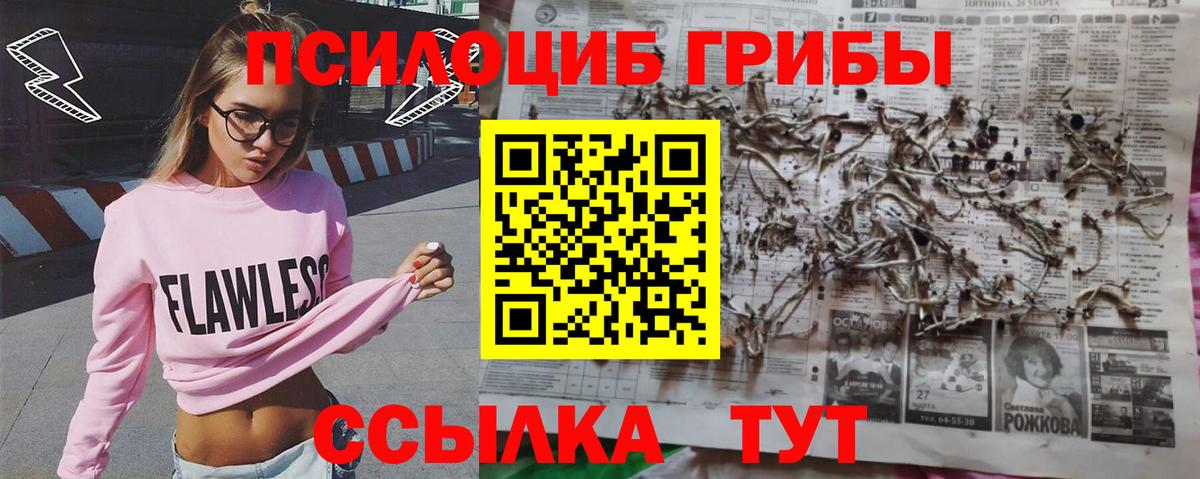 Галлюциногенные грибы Psilocybe  Вход с VPN  Якутск 